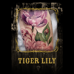 Tiger Lily