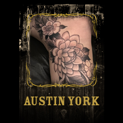Austin York